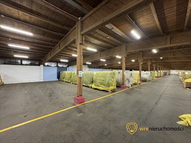 lokal użytkowy na wynajem 2911m2 lokal użytkowy Bolesławiec