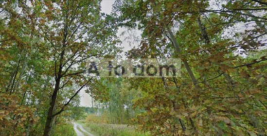Działka 912 m² w Kobyłce (Zalasek) z planem miejscowym działka Kobyłka