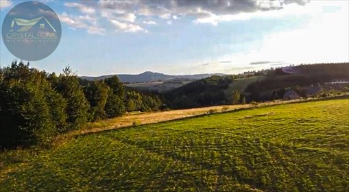 działka na sprzedaż 4025m2 działka Michałkowa