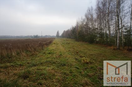Działka budowlana na sprzedaż Krasienin-Kolonia 8 000m2 Foto 5