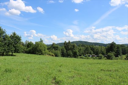 Do sprzedania działka bud.-rolna 6761 m² z widokiem na góry działka Fałkowice