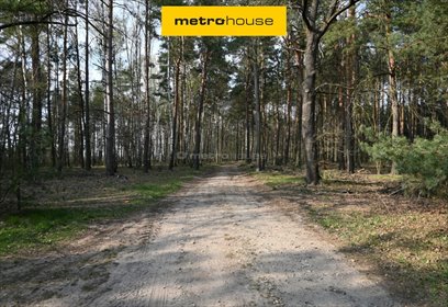 Duża działka 9 797 m² z lasem i widokiem na pola działka Stary Adamów, Promyka