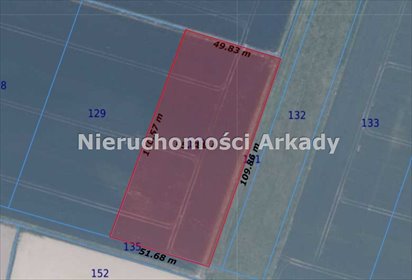 Działka rolna 5600 m² w Żuławkach - zapraszam działka Żuławki, Książęce Żuławy