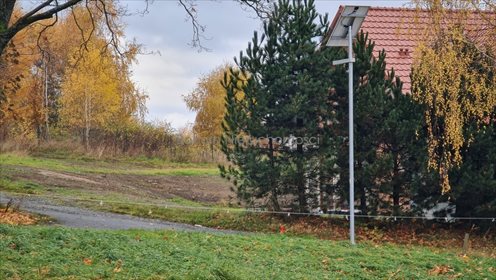 Działka budowlana na sprzedaż Dębowina 3 280m2 Foto 7