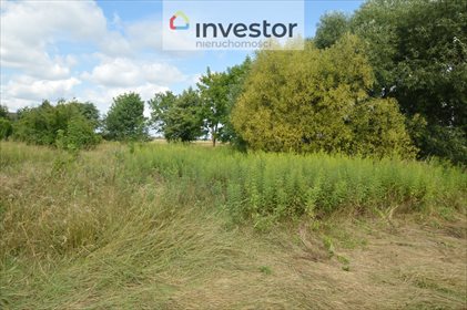 Działka budowlana na sprzedaż Dobrzeń Mały 1 282m2 Foto 3