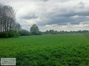 Gospodarstwo rolne 57 000 m² z budynkami i potencjałem działka Jabłków