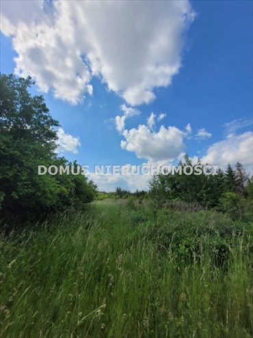 Działka inwestycyjna 17 864 m² pod działalność w Woli Błędowej działka Wola Błędowa