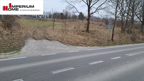 Sprzedam działkę usługowo-magazynową 3700 m² w Grzybnie działka Grzybno, Przodkowska