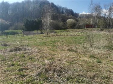 działka na sprzedaż 2524m2 działka Lewin Kłodzki