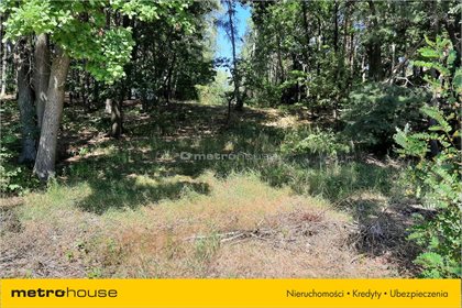 Działka rekreacyjna na sprzedaż Bartodzieje, Jastrzębia 2 447m2 Foto 2