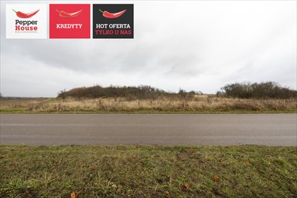 działka na sprzedaż 56300m2 działka Pszczółki