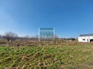 działka na sprzedaż 953m2 działka Zielona Góra, Ochla, Prosta