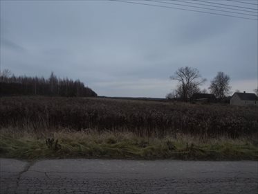 Działka budowlana na sprzedaż Horbów-Kolonia 10 000m2 Foto 3