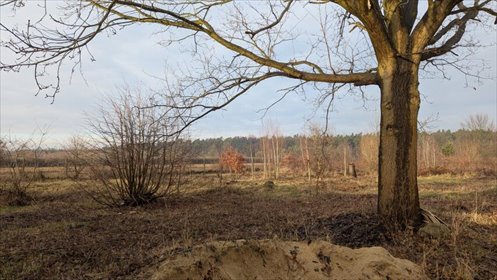 działka na sprzedaż 1000m2 działka Prażmów, Nowy Prażmów