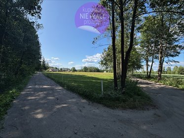 działka na sprzedaż 12500m2 działka Chrzęsne