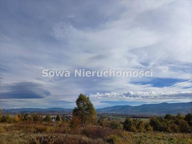 działka na sprzedaż 3050m2 działka Wojcieszyce