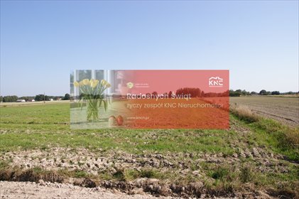 działka na sprzedaż 14600m2 działka Krasne