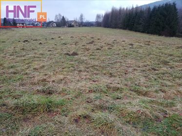 działka na wynajem 10000m2 działka Nawojowa