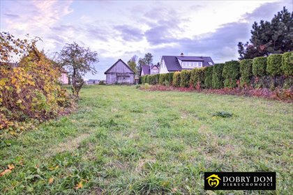 Do sprzedania dom do rozbiórki z dużą działką 2007 m² dom Dobrzyniewo Kościelne