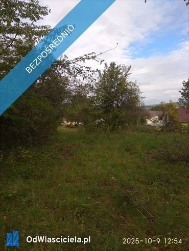 działka na sprzedaż 3114m2 działka Lipinki, Lipinki