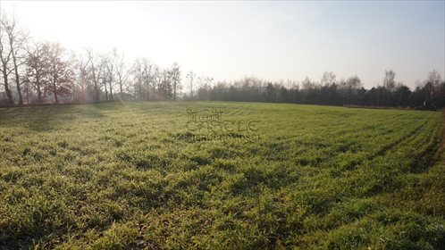 Działka budowlana na sprzedaż Mieściska, Topolowa 4 972m2 Foto 3