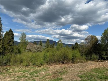 działka na sprzedaż 5600m2 działka Strzebowiska