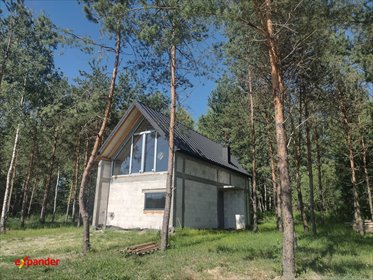 Nowoczesny dom 81 m2 z 2025 r. w Widełkach, las, 2 sypialnie dom Widełka
