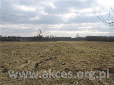 działka na sprzedaż 50000m2 działka Nowe Osiny
