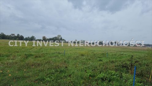 działka na sprzedaż 3032m2 działka Zielona Góra, Zatonie