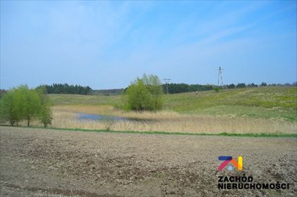 działka na wynajem 220000m2 działka Kinice, Kinice