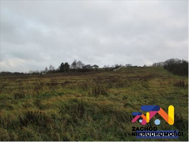 Działka pod zabudowę 6281 m² w Drzonkowie - polecam działka Zielona Góra, Drzonków
