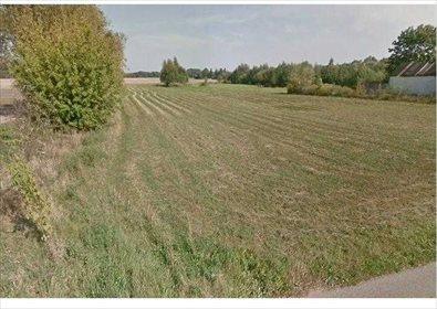 Działka siedliskowa 3,5 ha z budynkiem i mediami (Pomianowo) działka Pomianowo