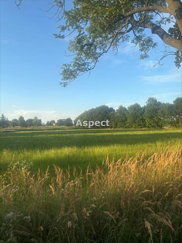 działka na sprzedaż 12592m2 działka Drogomyśl