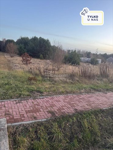 działka na sprzedaż 9700m2 działka Zbójno