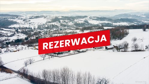 działka na sprzedaż 5300m2 działka Janowice