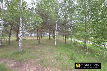 działka na sprzedaż 1000m2 działka Ateny