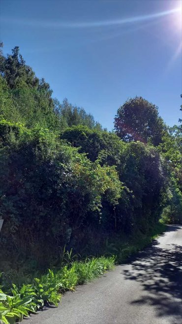 działka na sprzedaż 2700m2 działka Lubachów, Lubachów