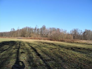 działka na sprzedaż 2996m2 działka Chwałowice