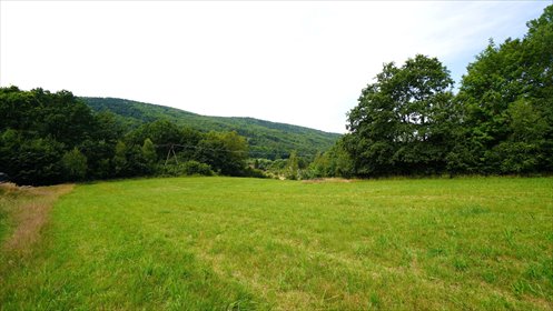 działka na sprzedaż 1590m2 działka Ropica Górna