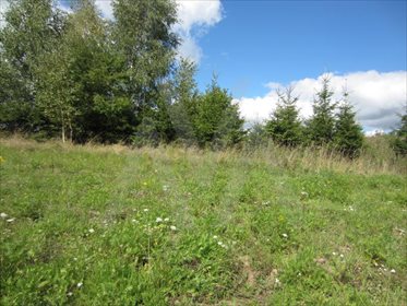 Działka siedliskowa na sprzedaż Pawłowo, Znana 44 408m2 Foto 4