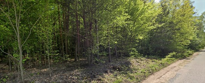 Na sprzedaż działka leśna 2,28 ha w Kamiance działka Kamianka