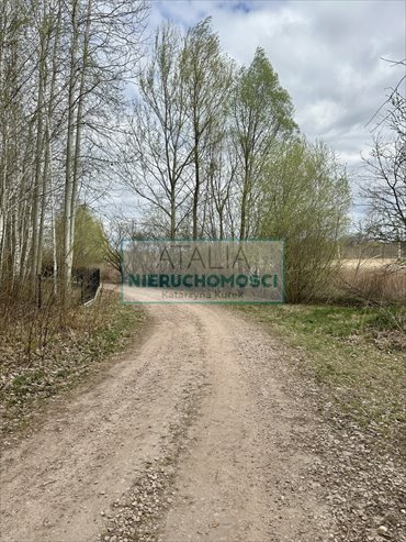Polecam działkę 2000 m² z lasem w Strzeniówce działka Strzeniówka