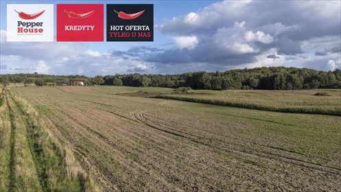 Zapraszam do zakupu 3,5 ha gruntu rolnego w Strużynie działka Strużyna