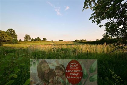 działka na sprzedaż 5400m2 działka Panieńszczyzna