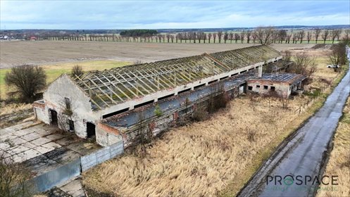 lokal użytkowy na wynajem 2300m2 lokal użytkowy Kije