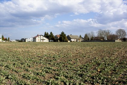 działka na sprzedaż 818m2 działka Studzian