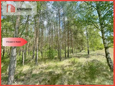 działka na sprzedaż 3006m2 działka Strzelczyki