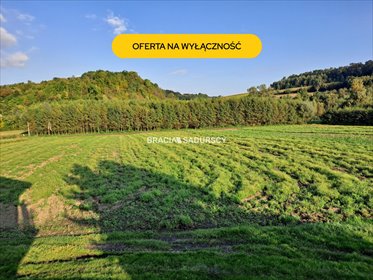 Sprzedam działkę budowlaną 4 800 m² w Polekarcicach działka Polekarcice