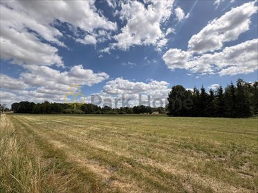 Polecam działki nad Jeziorem Powidzkim 8-12 arów, blisko plaży działka Giewartów