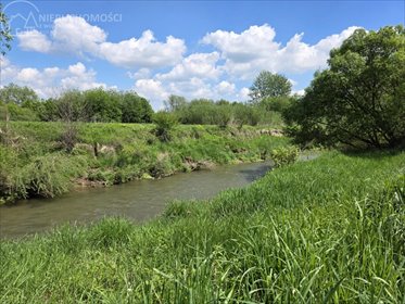 Działka 29 arów nad rzeką Biała - cisza i natura działka Lubaszowa